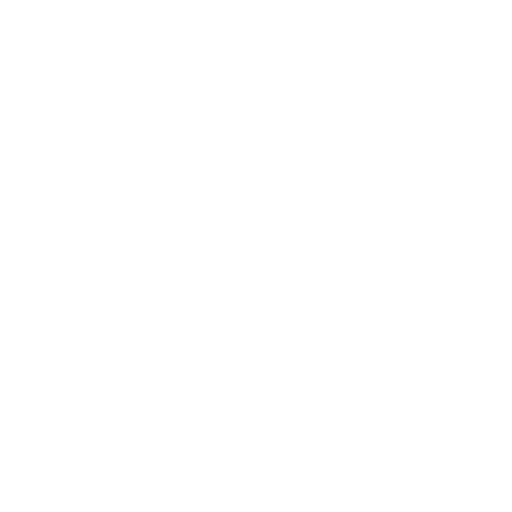 Zorro